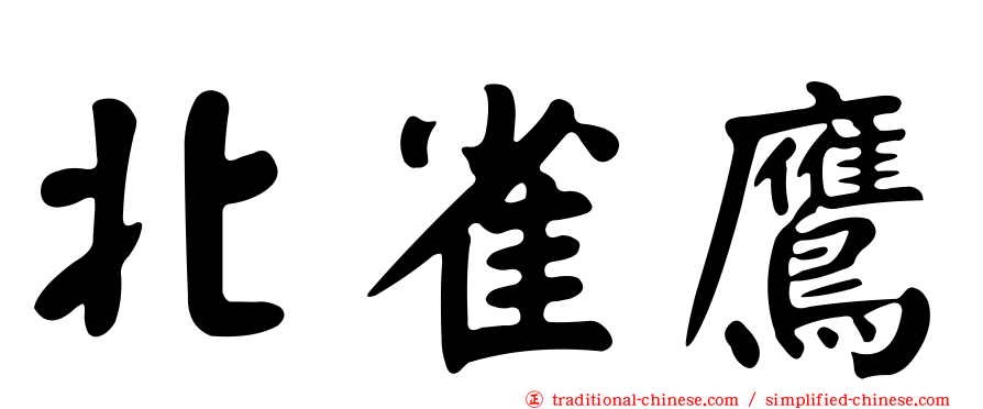 北雀鷹