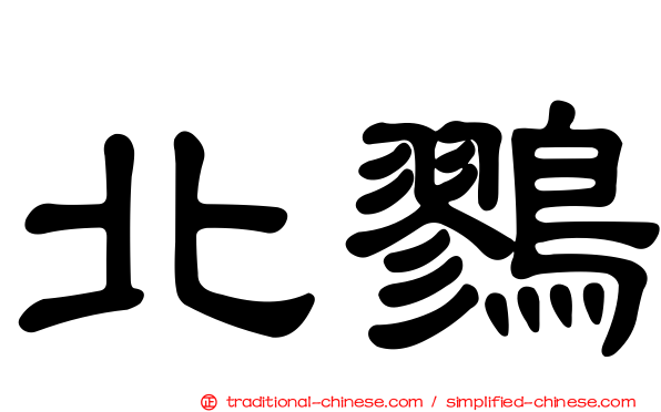 北鷚