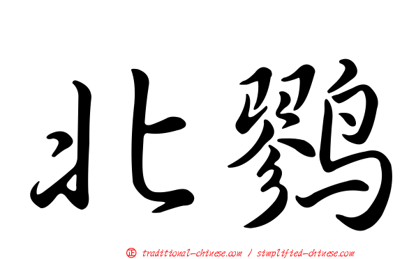 北鷚