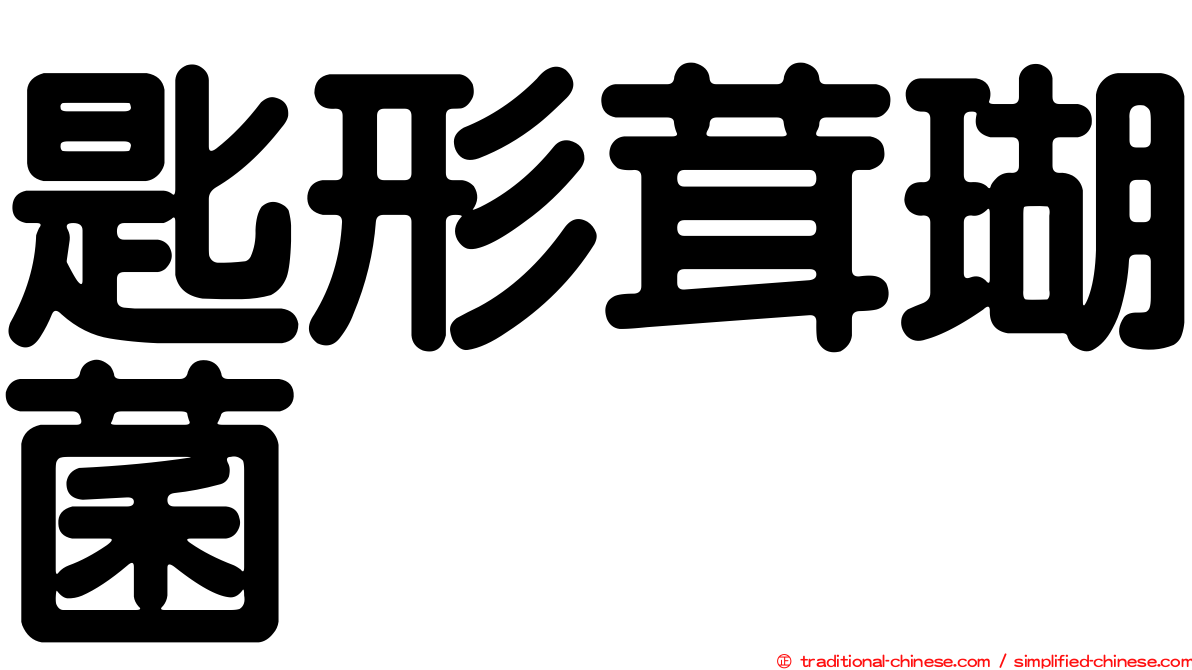 匙形茸瑚菌