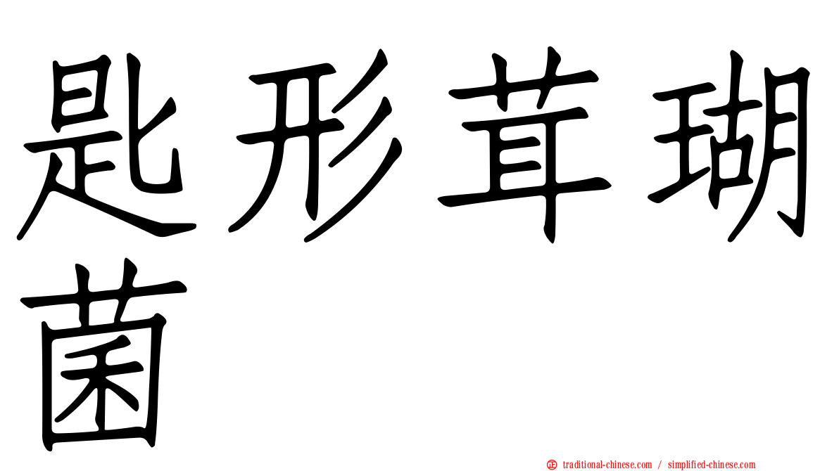 匙形茸瑚菌