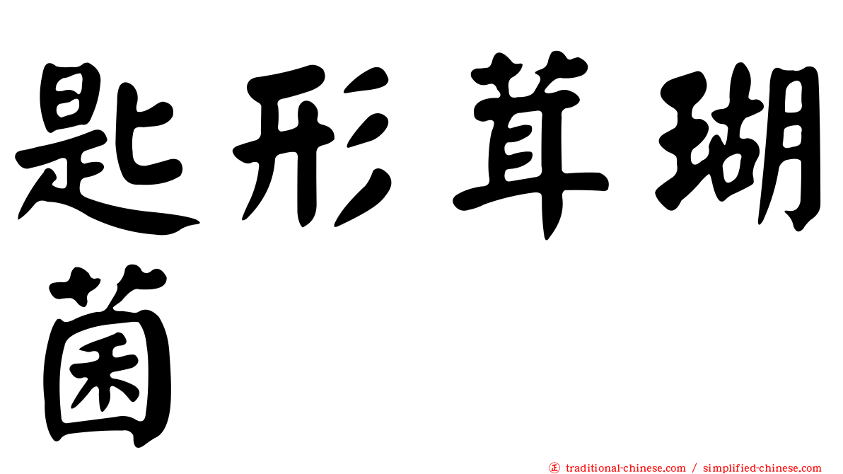 匙形茸瑚菌