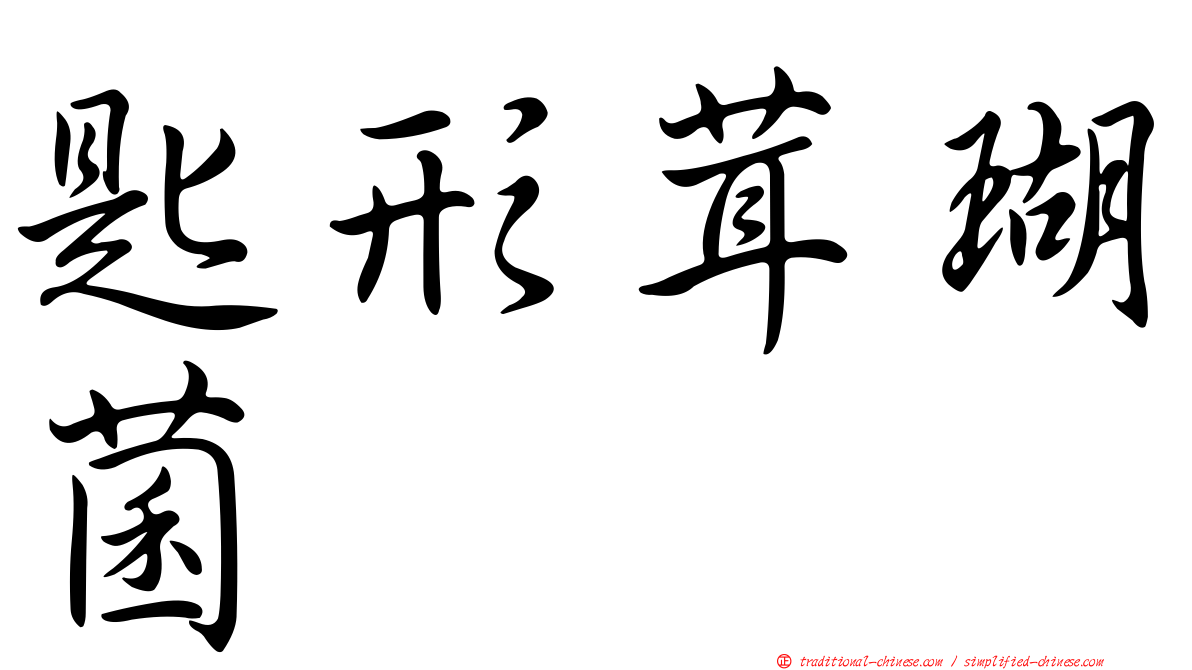 匙形茸瑚菌