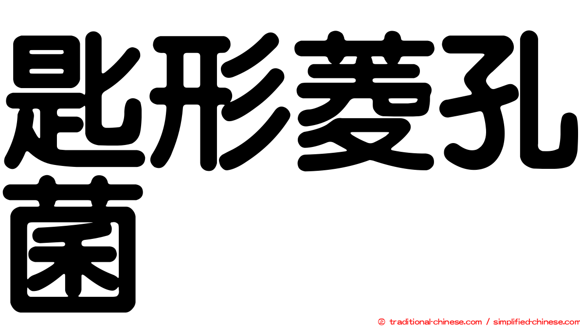匙形菱孔菌
