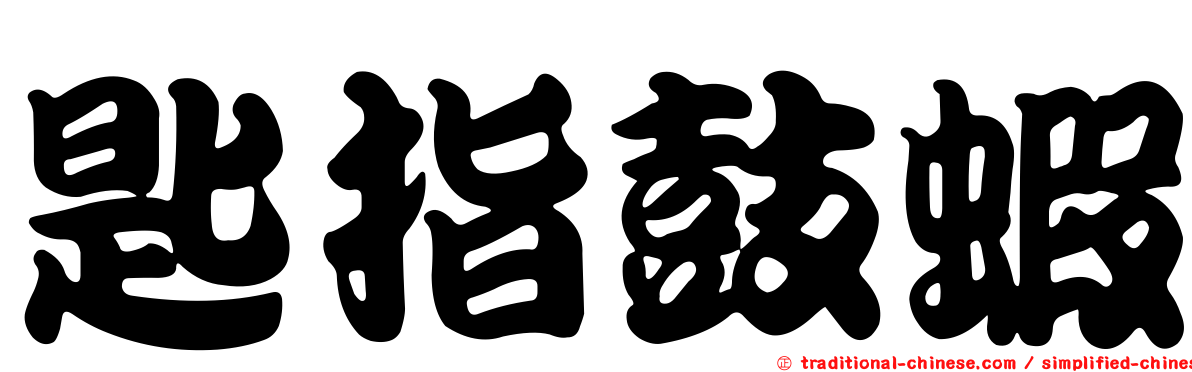 匙指鼓蝦