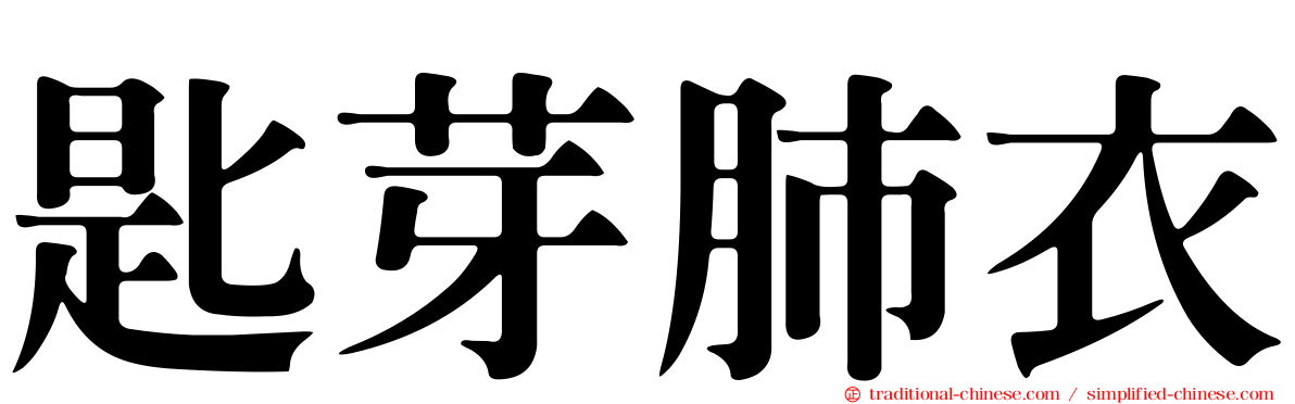 匙芽肺衣