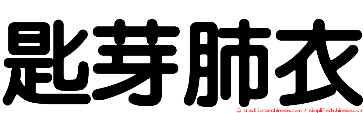 匙芽肺衣