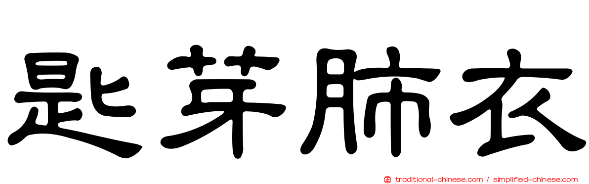 匙芽肺衣