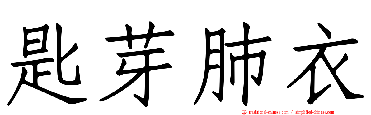 匙芽肺衣