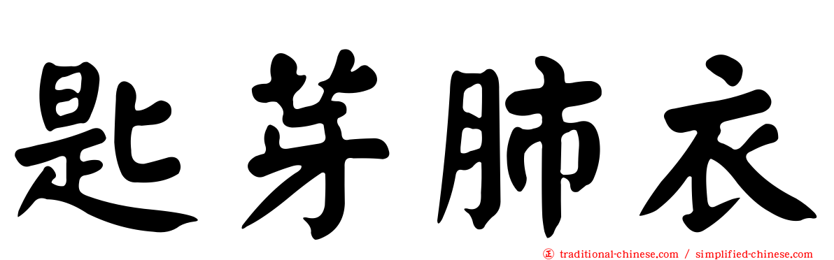 匙芽肺衣