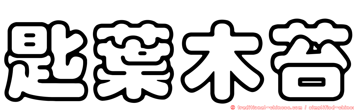 匙葉木苔