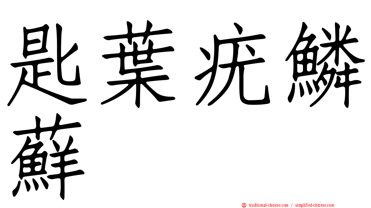 匙葉疣鱗蘚