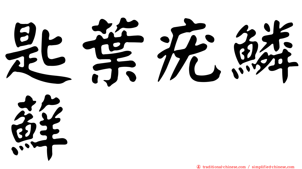 匙葉疣鱗蘚