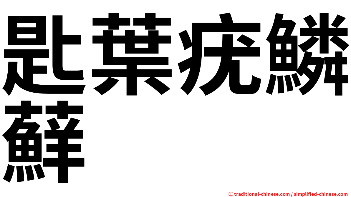 匙葉疣鱗蘚