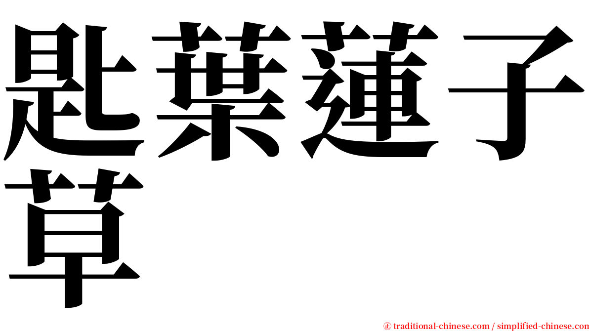匙葉蓮子草 serif font