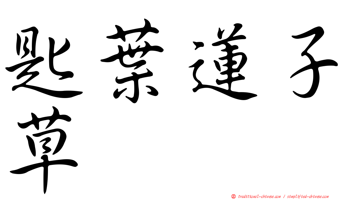 匙葉蓮子草