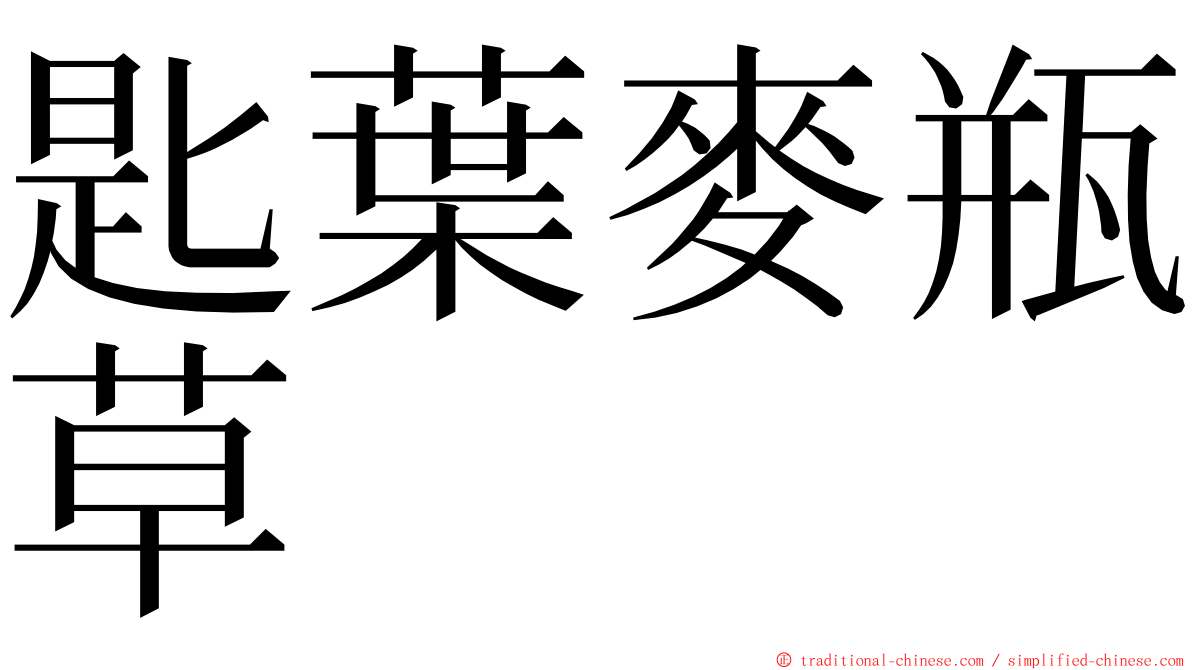 匙葉麥瓶草 ming font