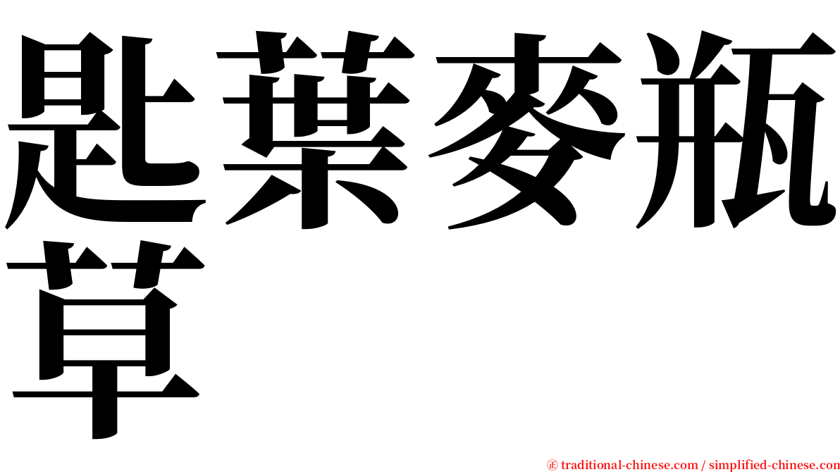 匙葉麥瓶草 serif font
