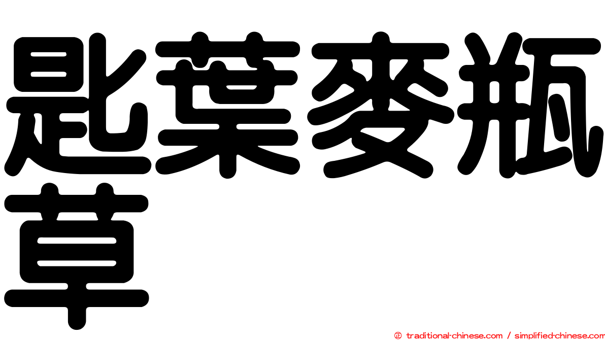 匙葉麥瓶草