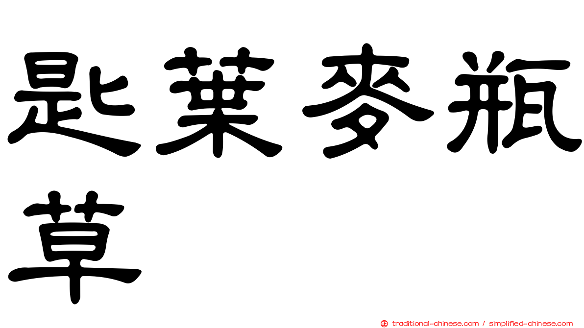 匙葉麥瓶草