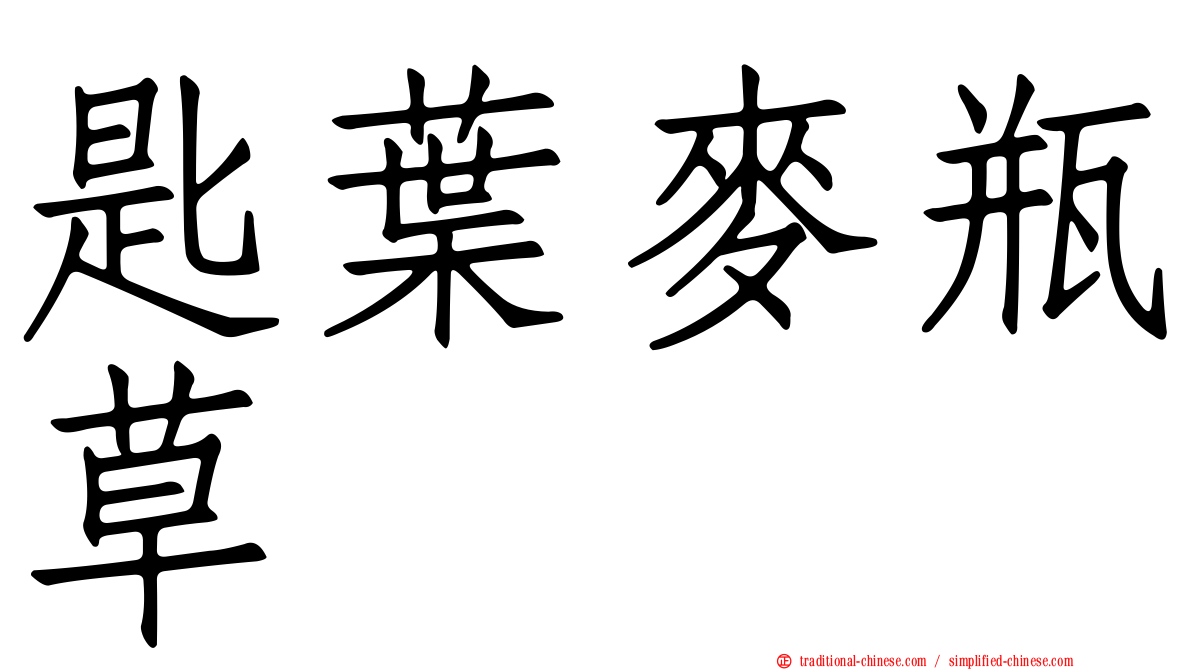 匙葉麥瓶草