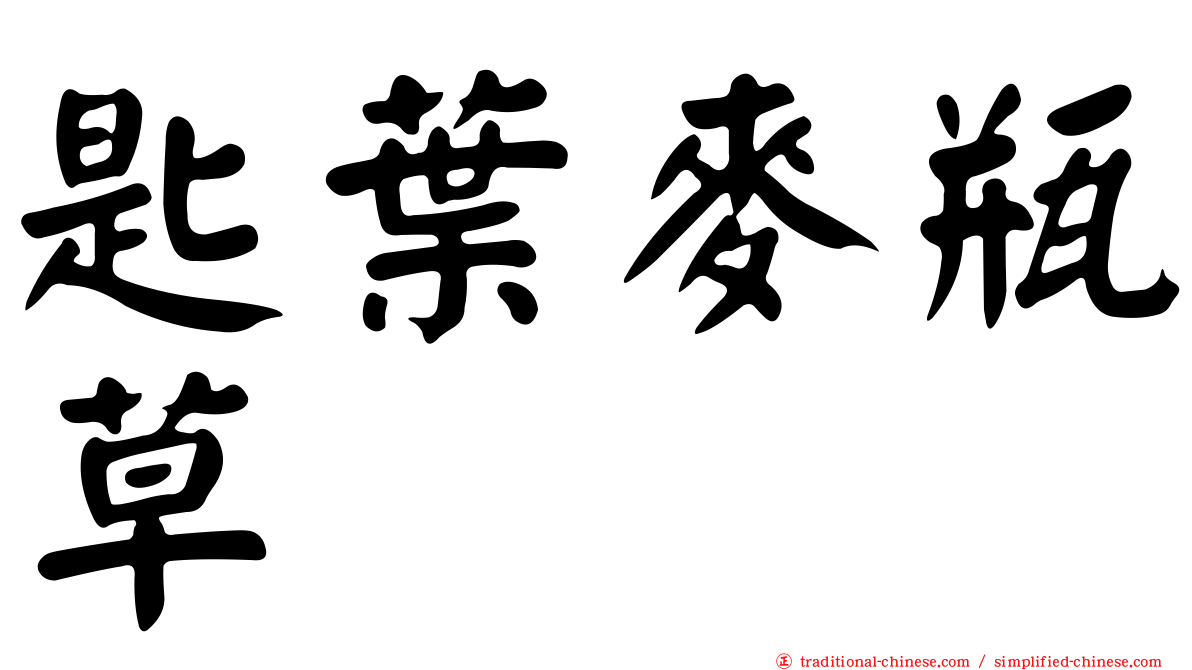 匙葉麥瓶草