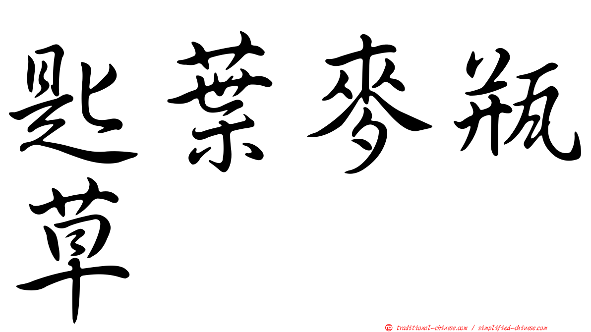 匙葉麥瓶草
