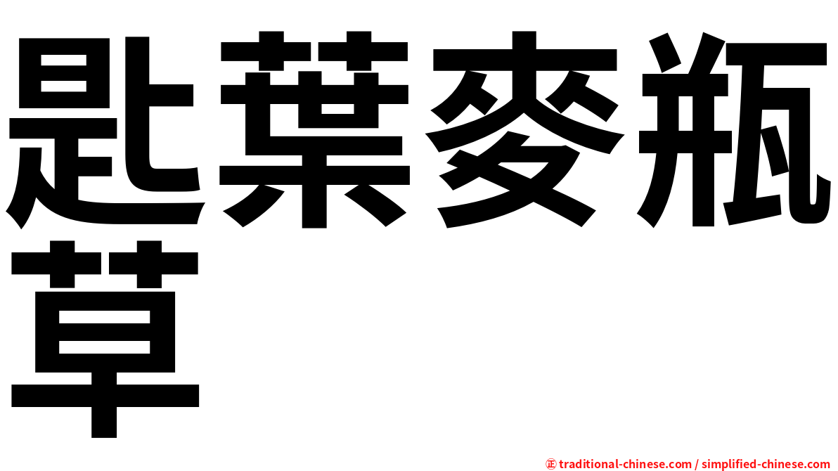 匙葉麥瓶草