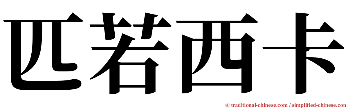 匹若西卡 serif font
