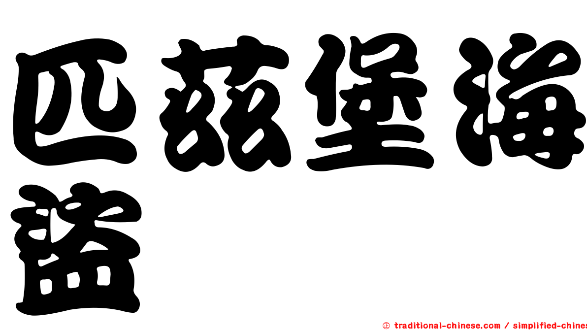 匹茲堡海盜