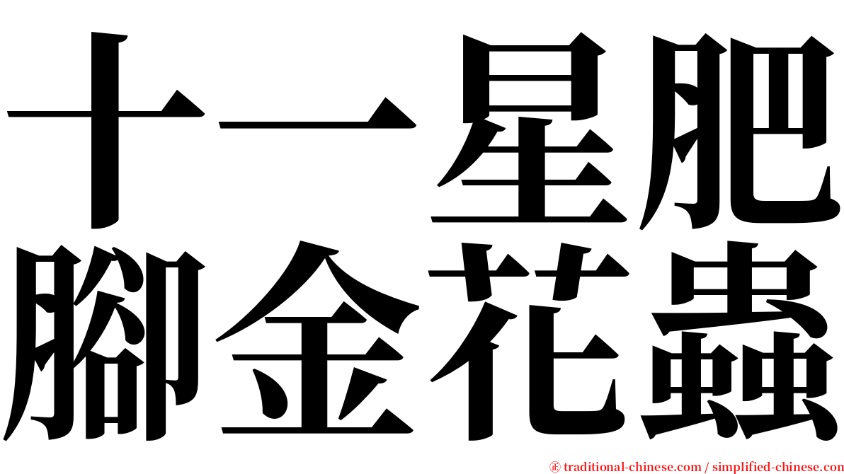 十一星肥腳金花蟲 serif font