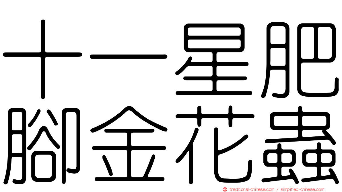 十一星肥腳金花蟲