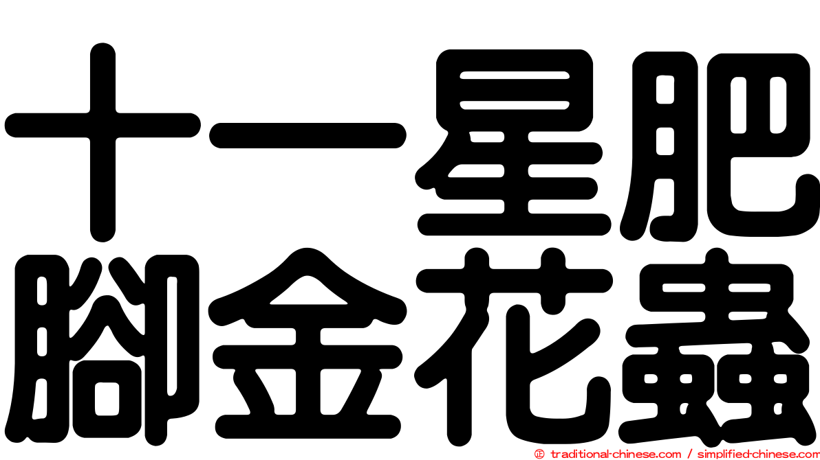 十一星肥腳金花蟲