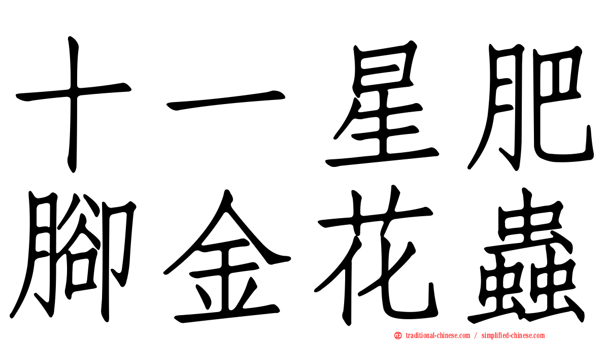 十一星肥腳金花蟲