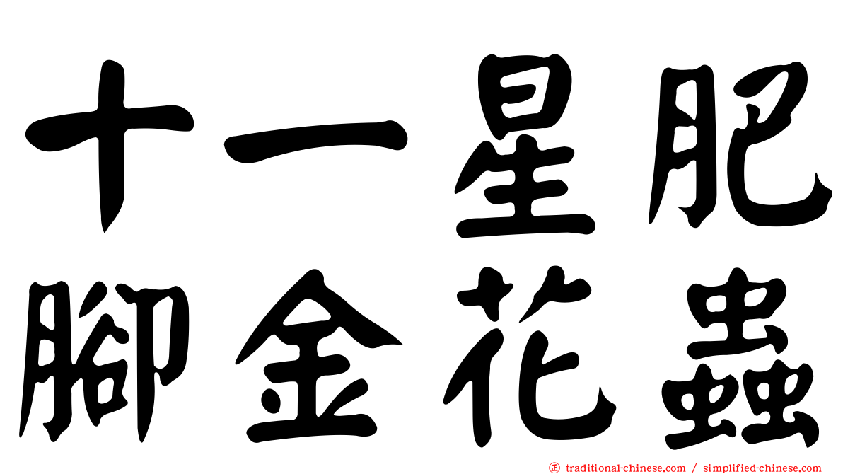 十一星肥腳金花蟲