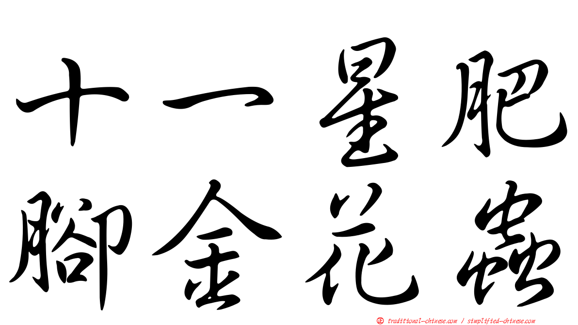 十一星肥腳金花蟲