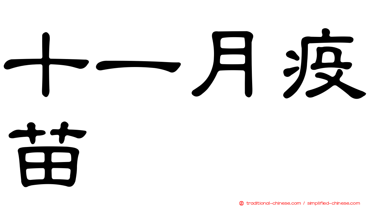 十一月疫苗