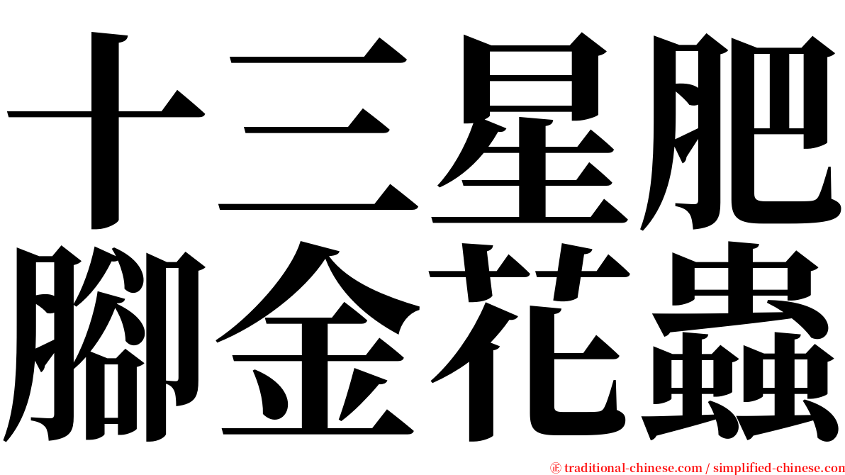 十三星肥腳金花蟲 serif font