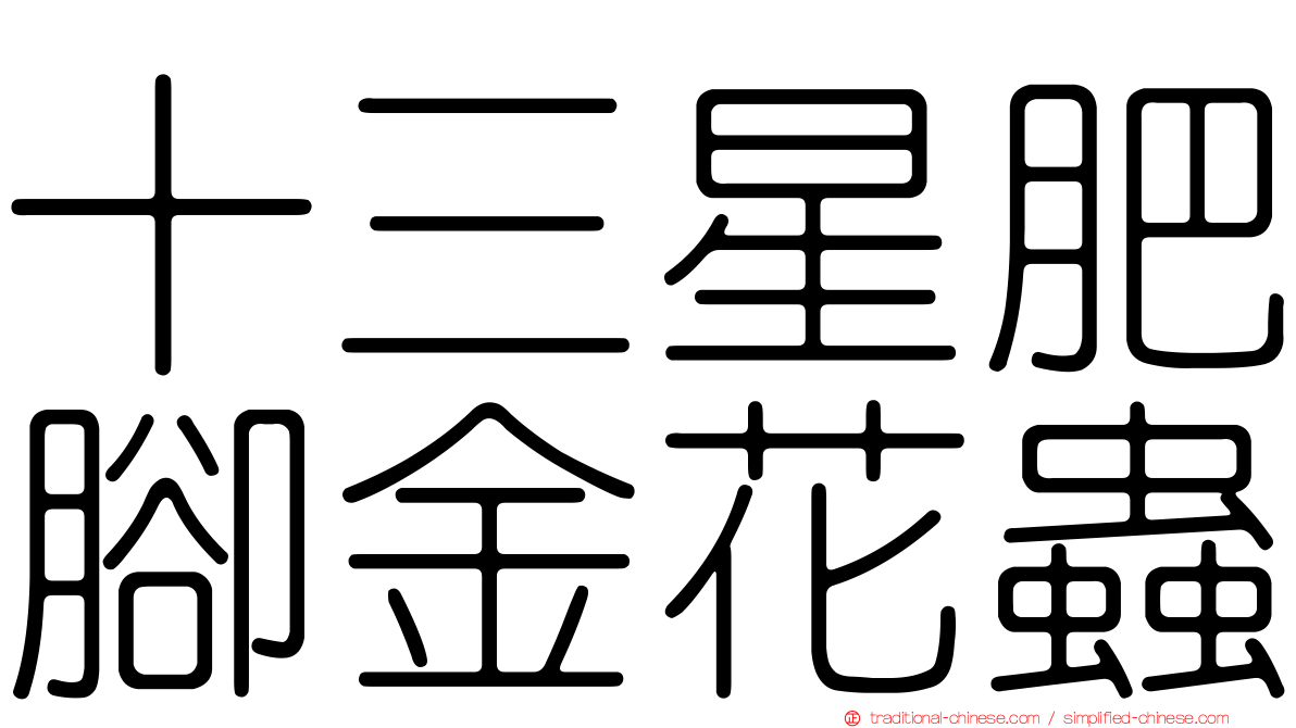十三星肥腳金花蟲