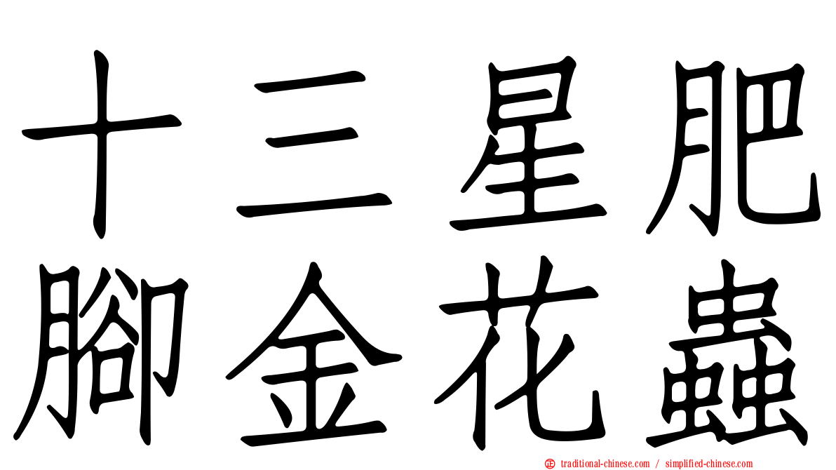 十三星肥腳金花蟲