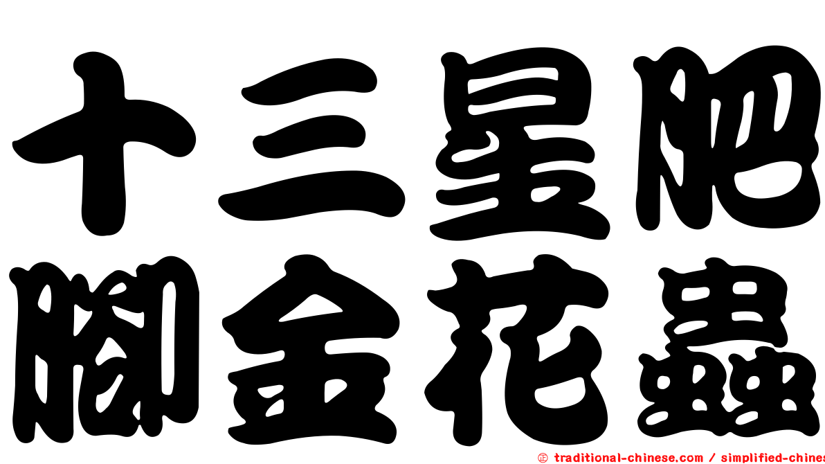 十三星肥腳金花蟲