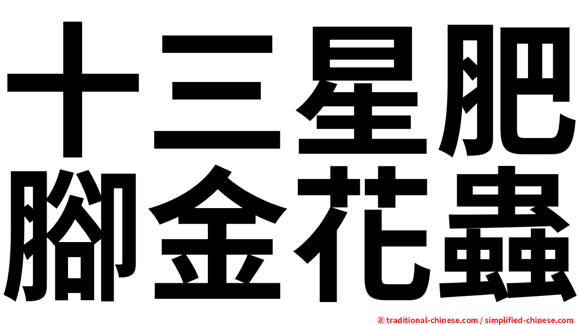 十三星肥腳金花蟲
