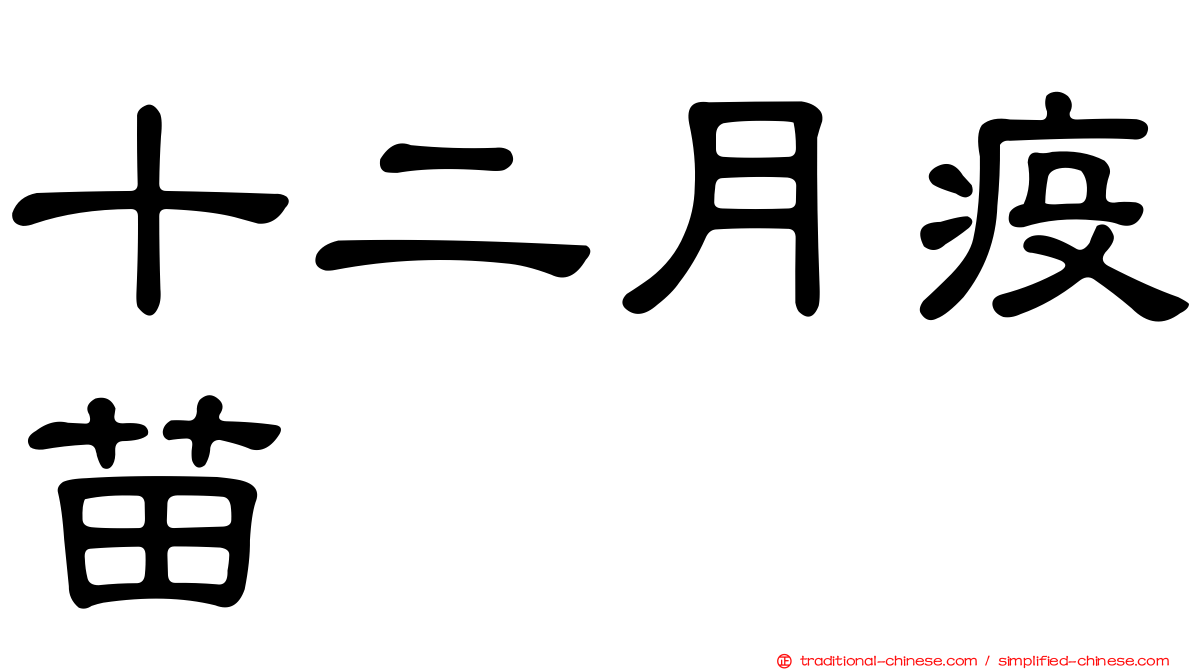 十二月疫苗