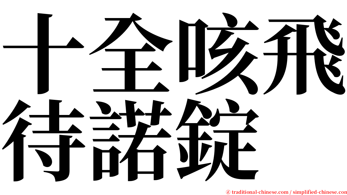 十全咳飛待諾錠 serif font