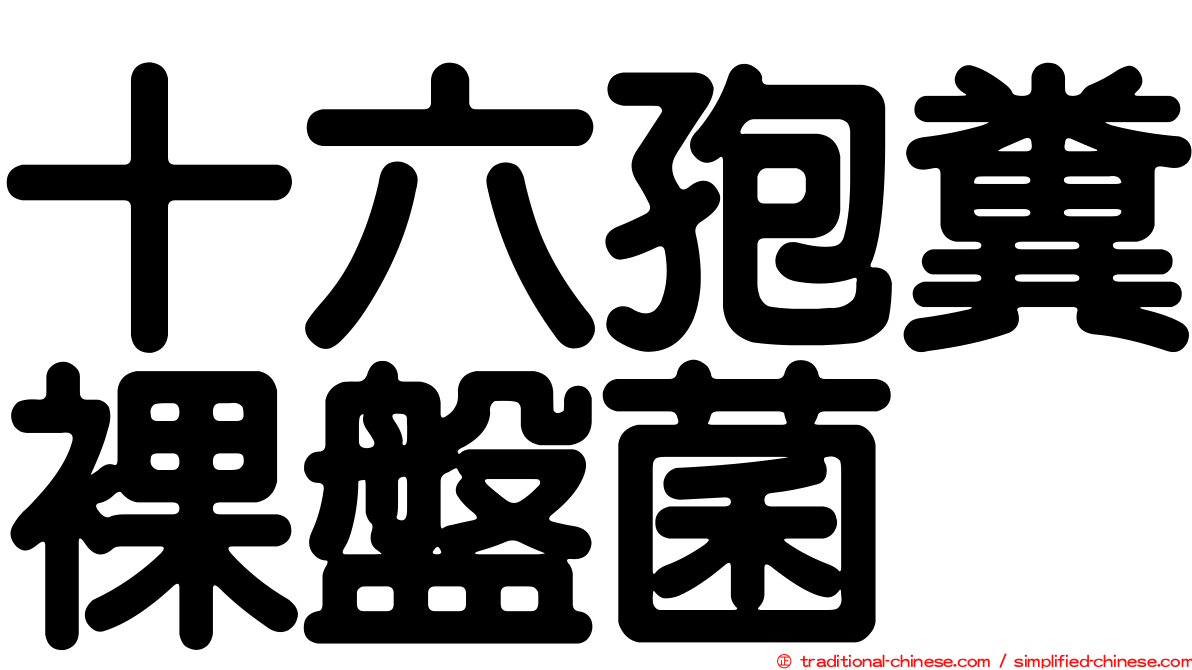 十六孢糞裸盤菌