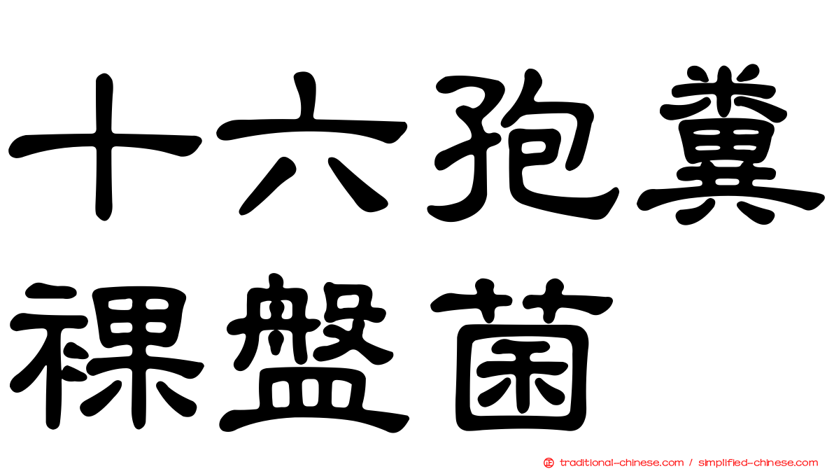 十六孢糞裸盤菌