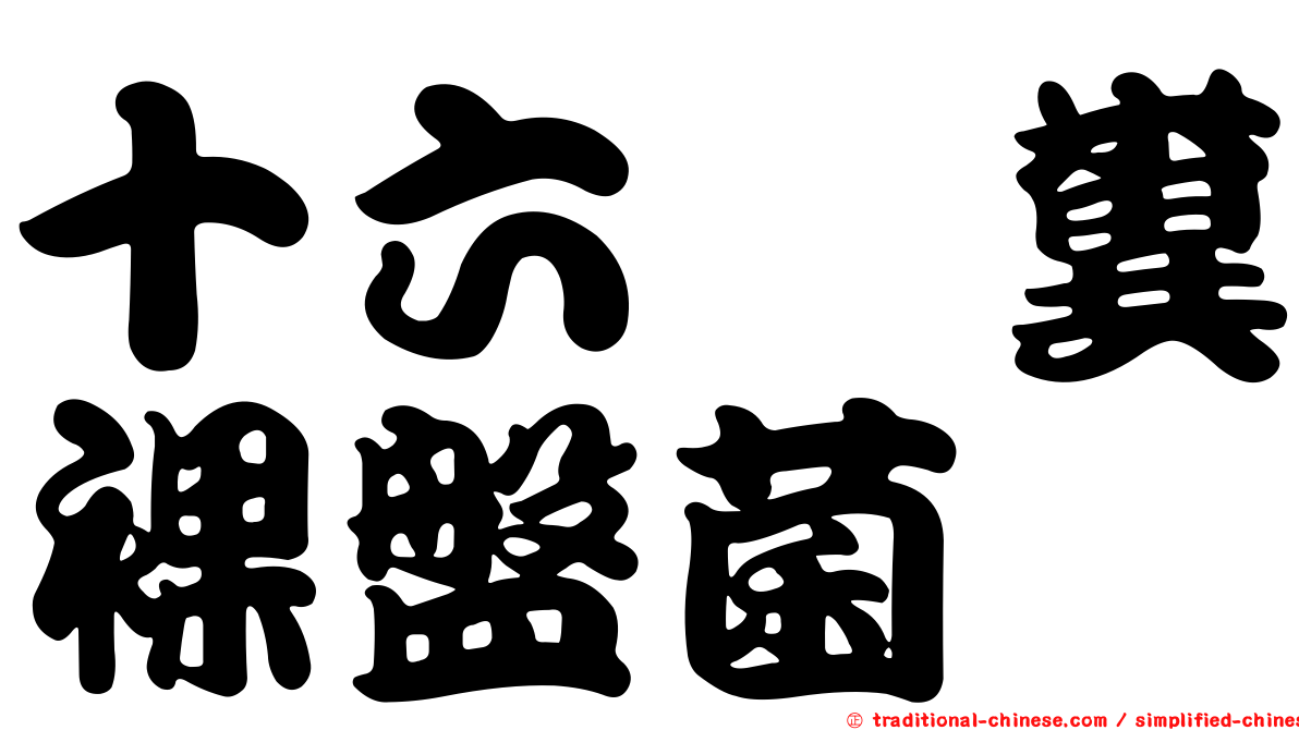 十六孢糞裸盤菌