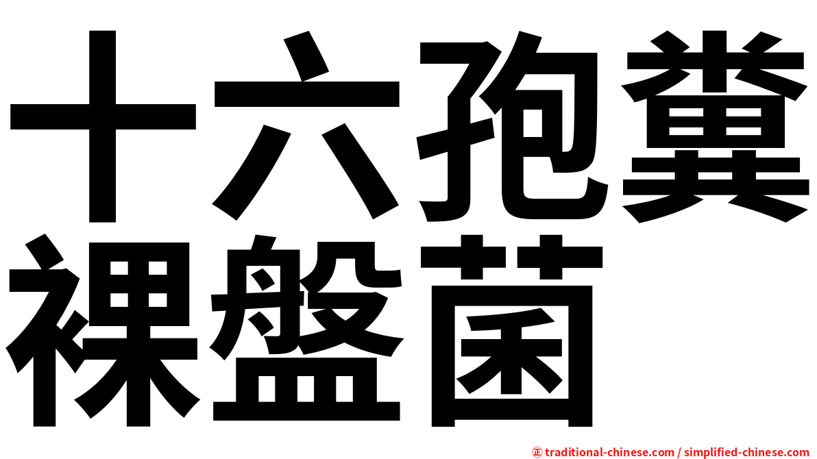 十六孢糞裸盤菌
