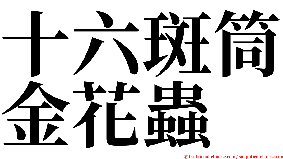 十六斑筒金花蟲 serif font