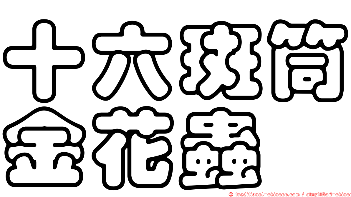 十六斑筒金花蟲